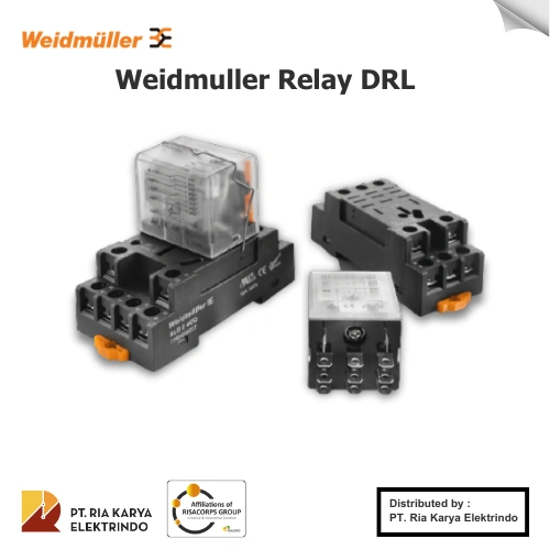 weidmuller relay drl